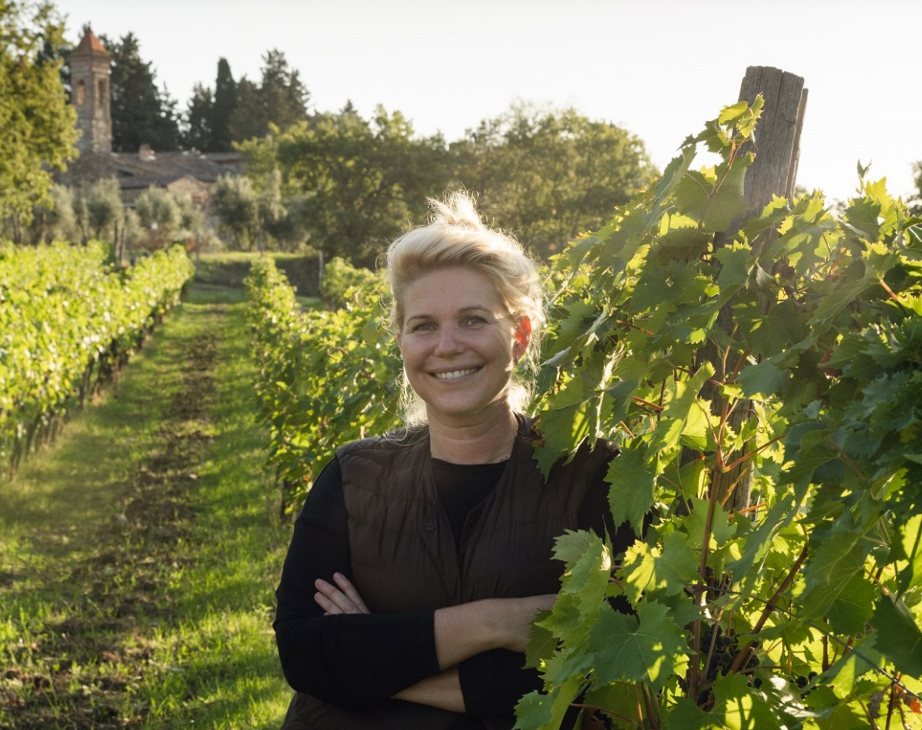 A Night in Chianti: The Wines of Terreno @ Elmwood April 28th