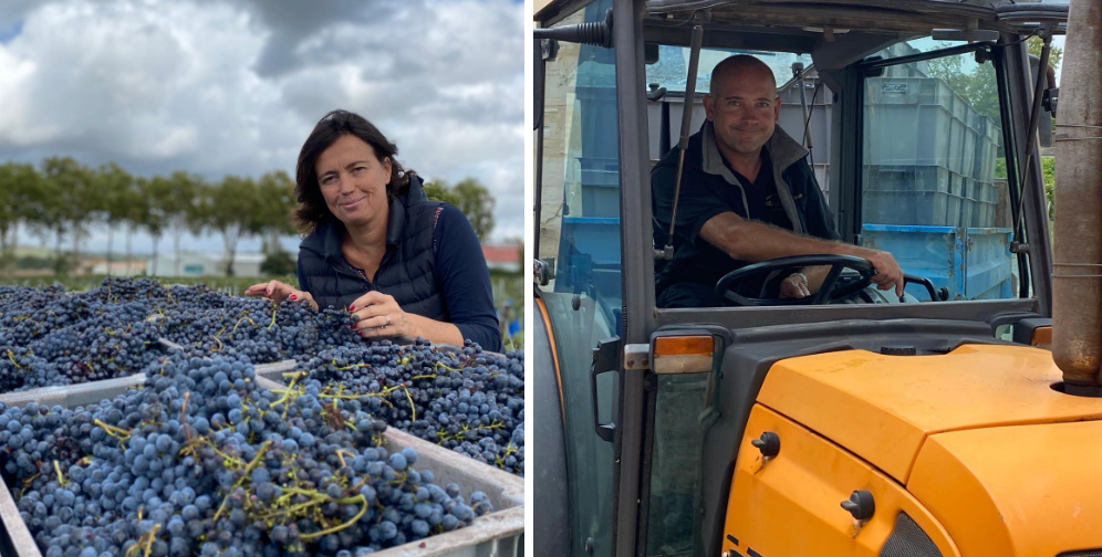 Bubbles! Bordeaux! Sauternes! of Gonet-Medeville @ Elmwood June 23rd