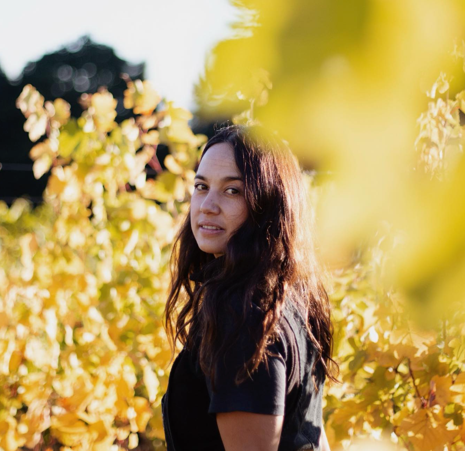 Division Wine Co @ Vine St March 15