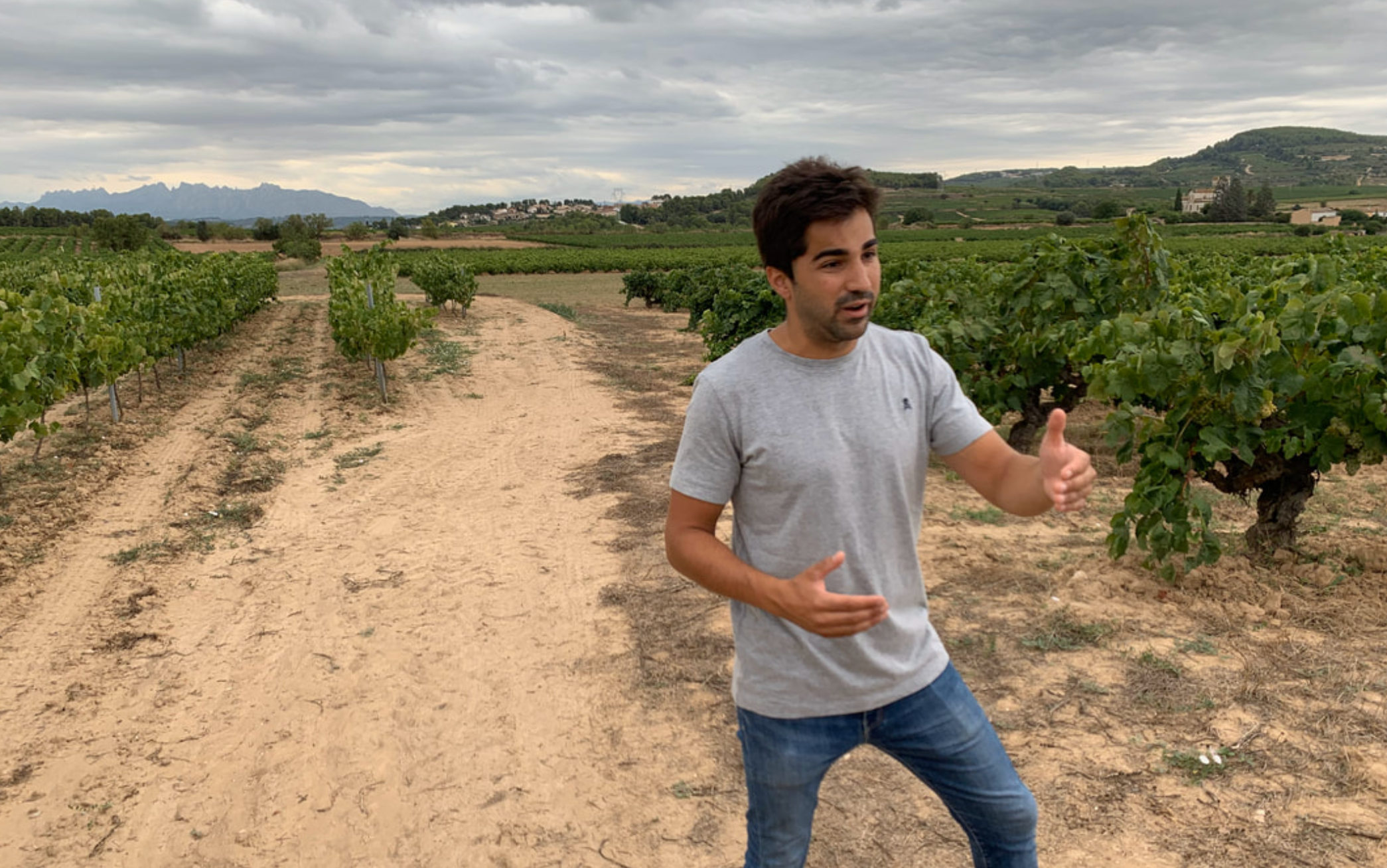Anima Mundi & AT Roca: New & Old School Catalunya @ Solano Cellars Friday, May 29th
