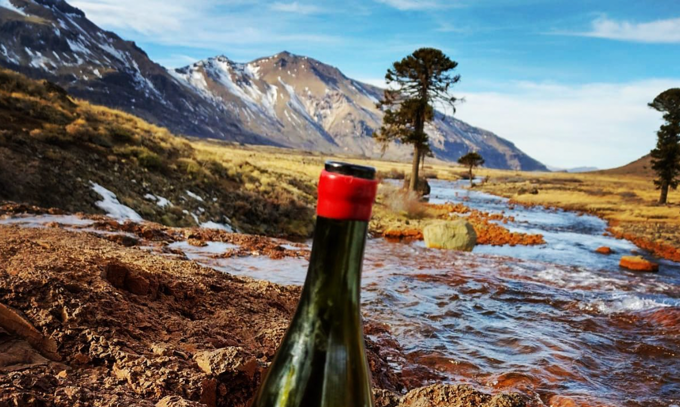 Bodega Chacra: Iconic Wines from the End of the World @ Solano Cellars Friday, August 22nd