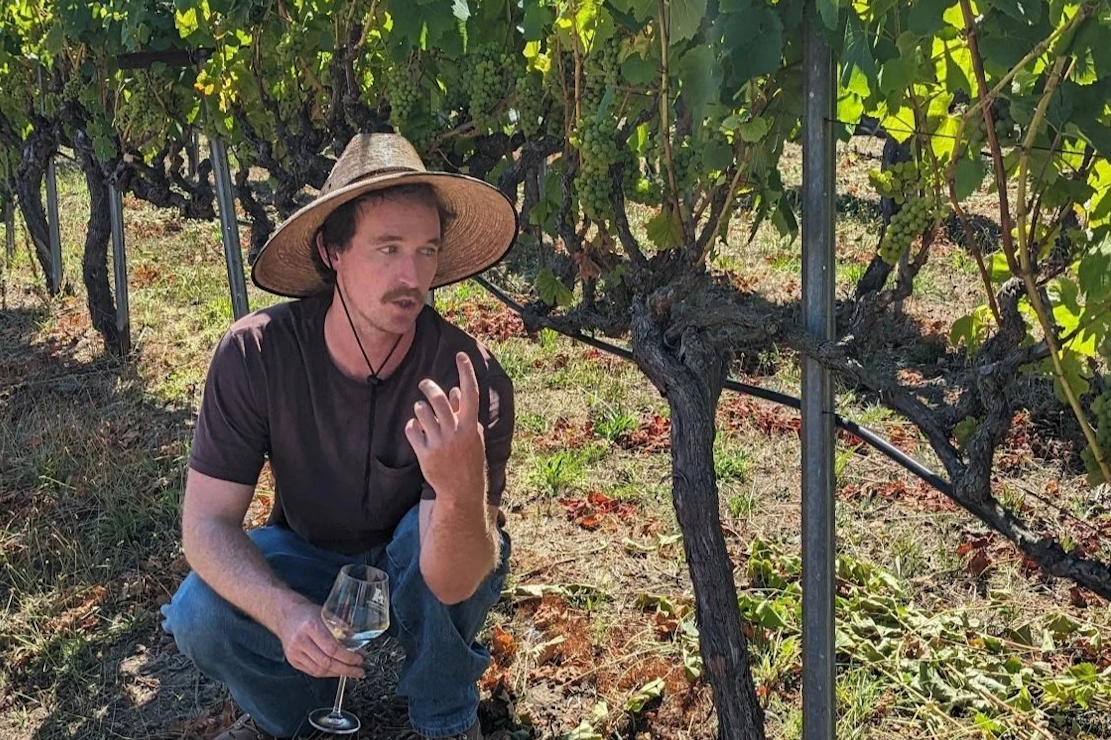 Alfaro Family Vineyards Tasting @ Vine St. Friday, September 12th