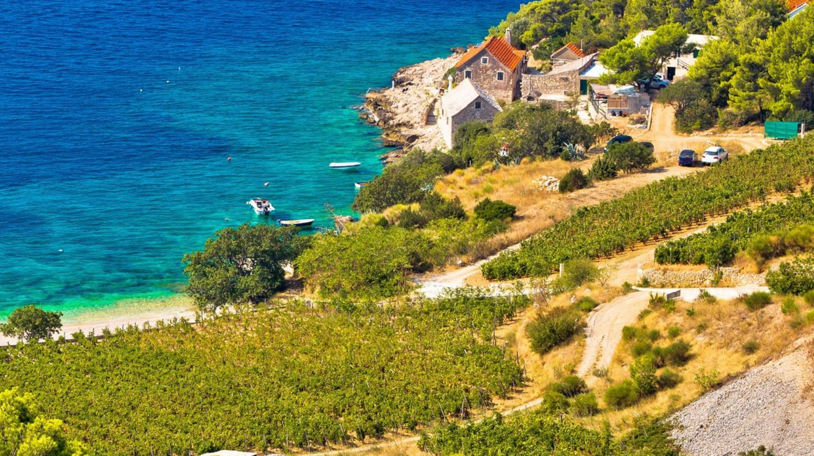 Wines of Croatia w/ Nick Dazzi of Alluvial Wines @ College Ave. Thursday, April 30th