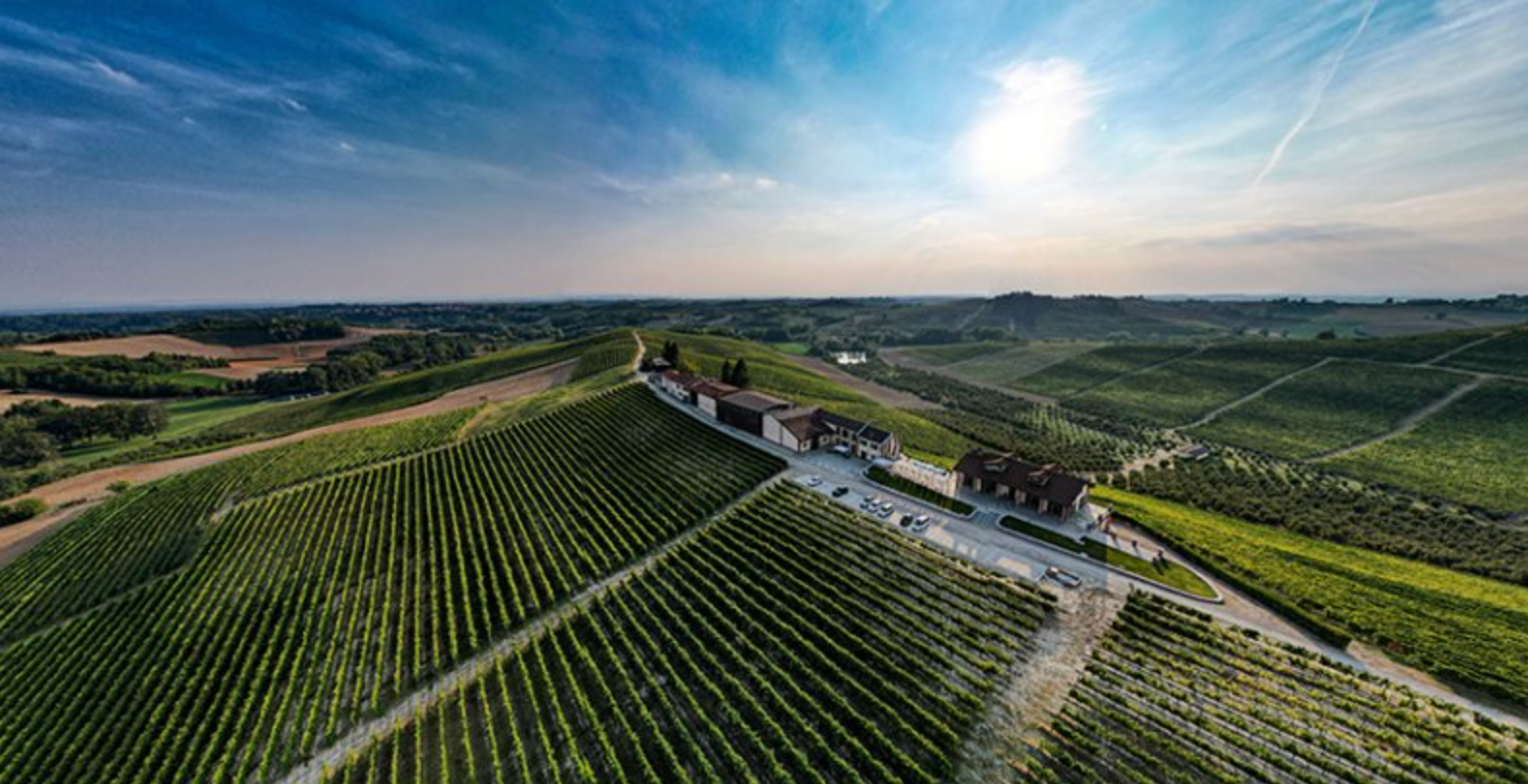 Tuesday Nights are for Ruche! A tasting with Montalberra @ College Ave. April 2nd
