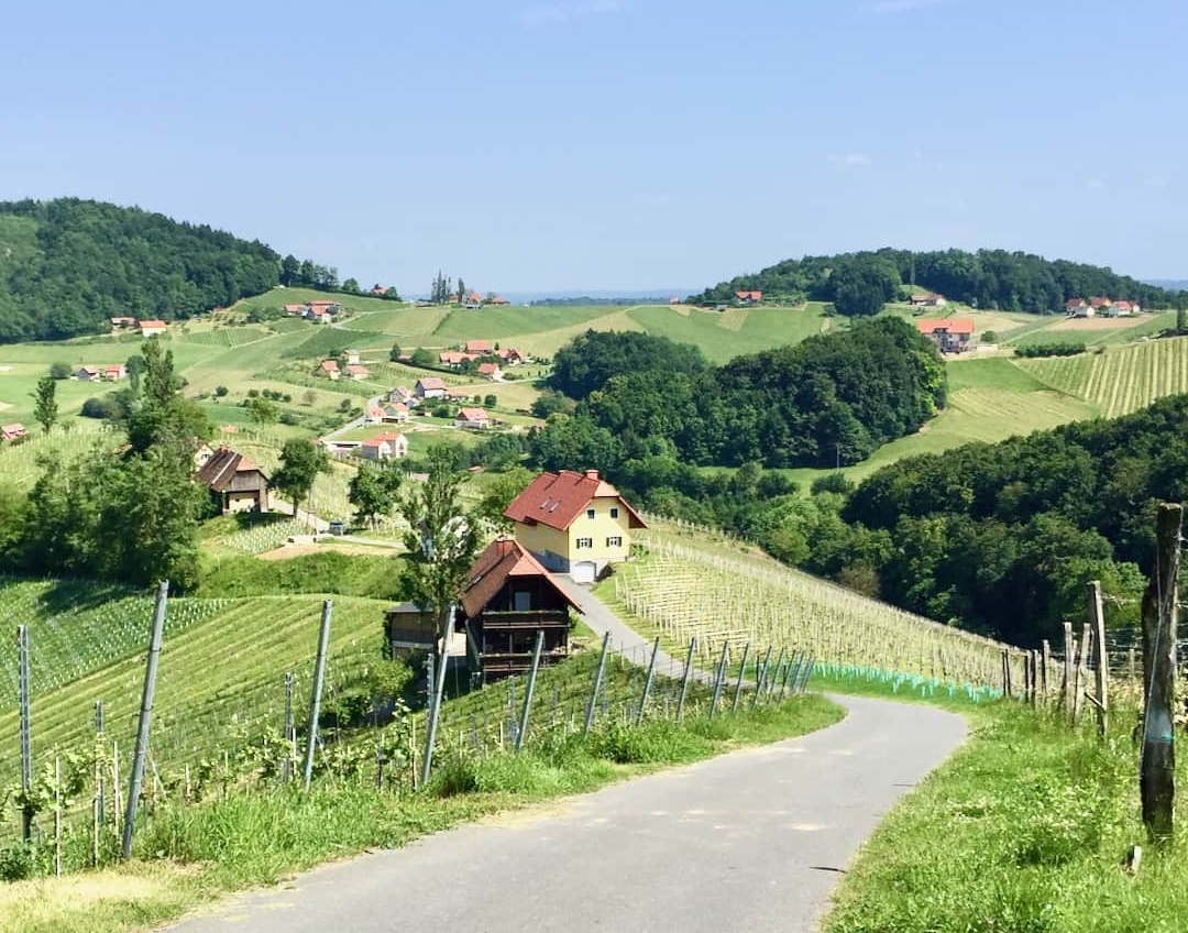 Along the Styrian Wine Road @ College Ave. June 6th