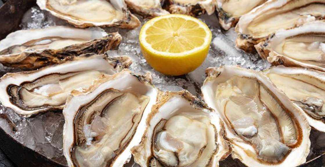 Lo-Fi Oyster Co. & Jazz @ Vine St. Saturday, September 14th