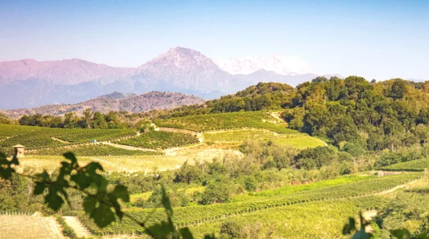 Nebbiolo @ College Ave. Thursday, November 7th