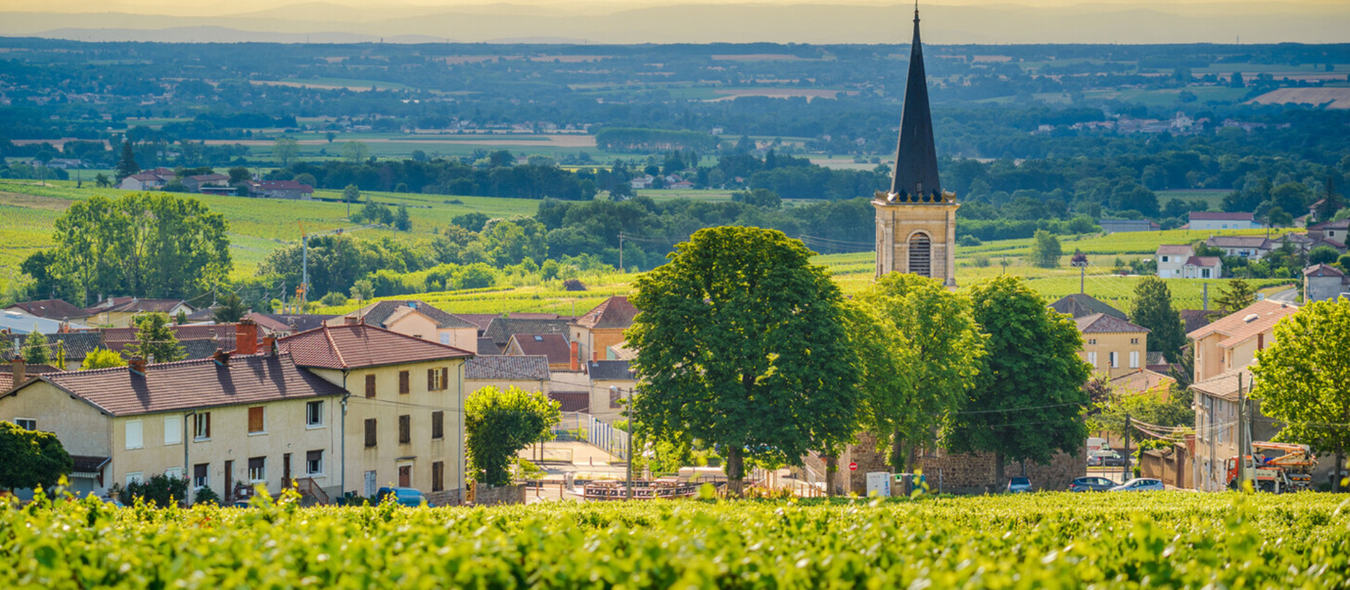 Fête du Beaujolais @ Solano Cellars Friday, November 22nd
