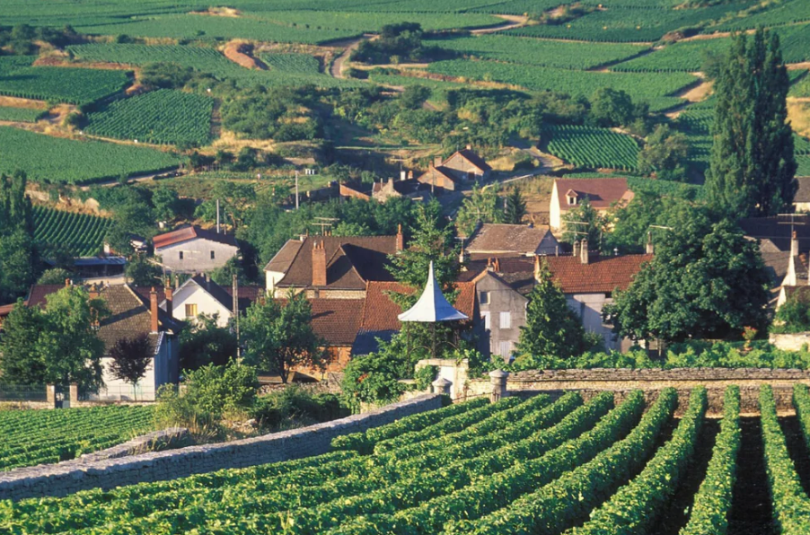 Burgundy: A Series—Night Seven @ College Ave. Friday, May 30th