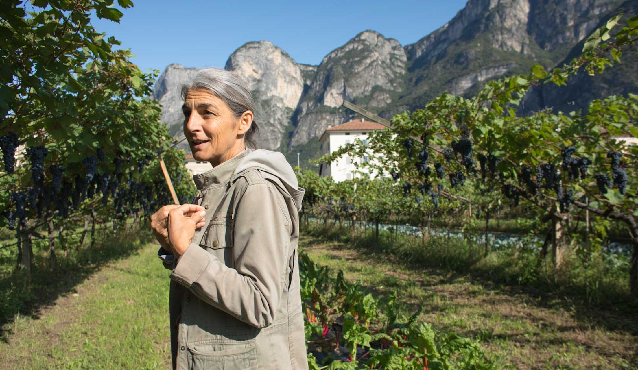 Foradori: Trailblazer in the Dolomites @ Solano Cellars Thursday, August 28th