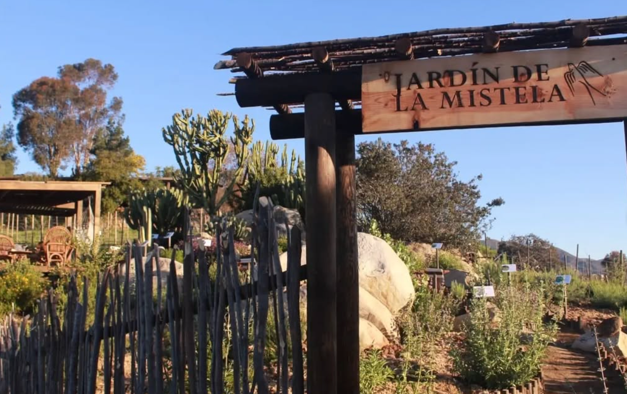 Vinos Pijoan & Fractura: Mexico's Wine Renaissance @ Solano Cellars Friday, October 17th