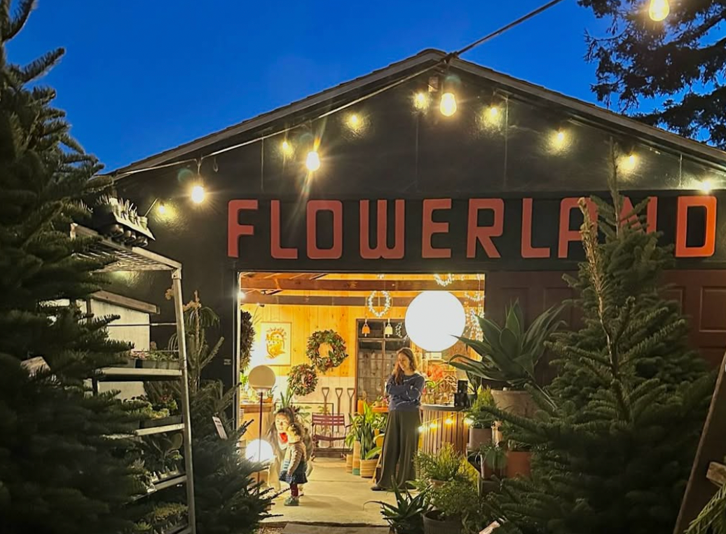 Flowerland Winter Market Pop-Up December 20th & 21st