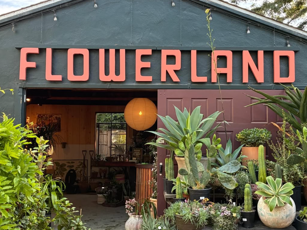 Mother's Day Pop Up @ Flowerland! Sunday, May 10th