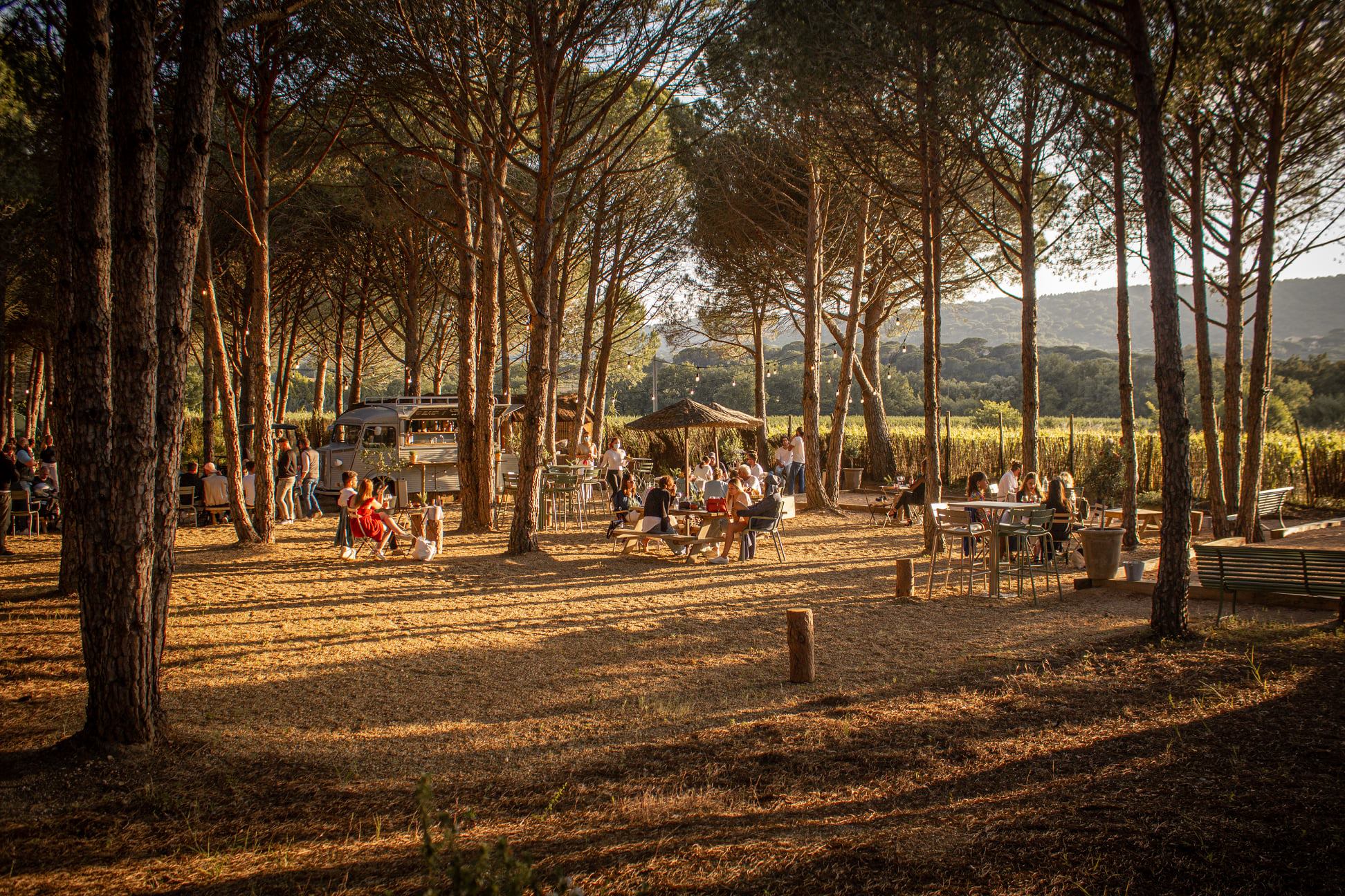 Fondugues Pradugues: Tasting the Natural Wines of St-Tropez @ Vine June 23rd