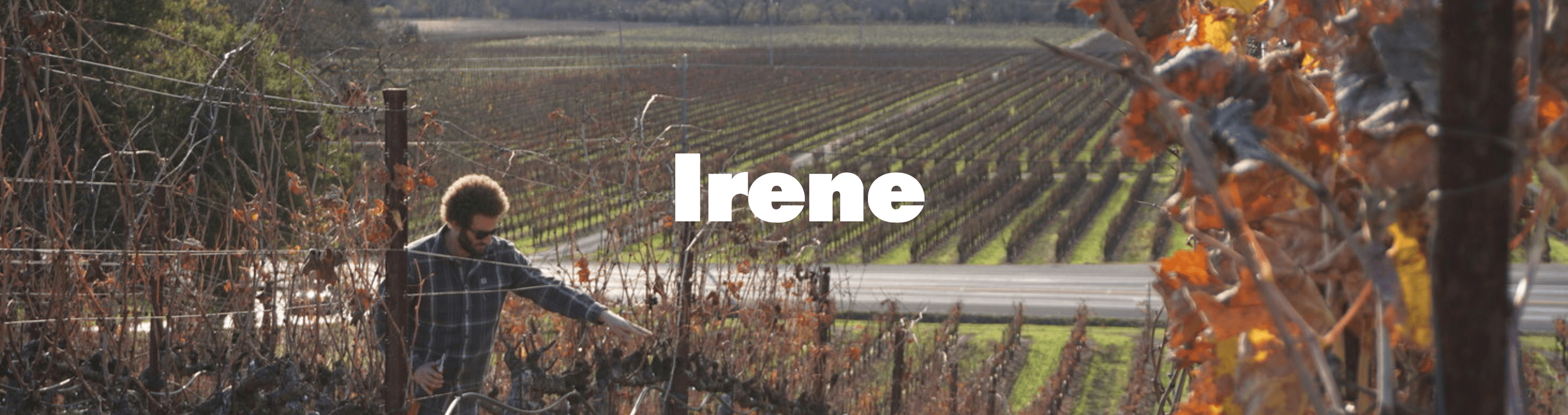 Irene Wine Co. Tasting @ Vine Street March 4th - Vintage Berkeley