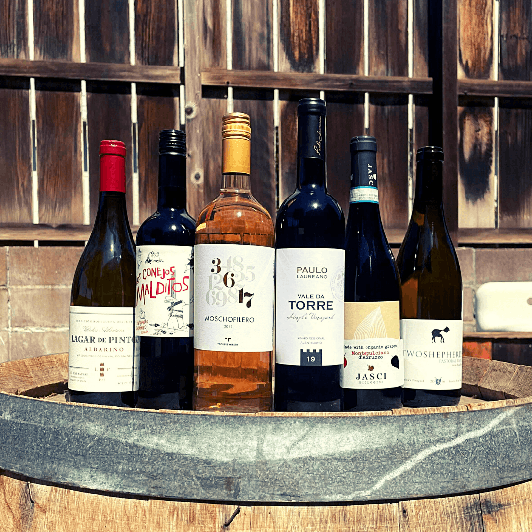 Join the Club! - Vintage Berkeley