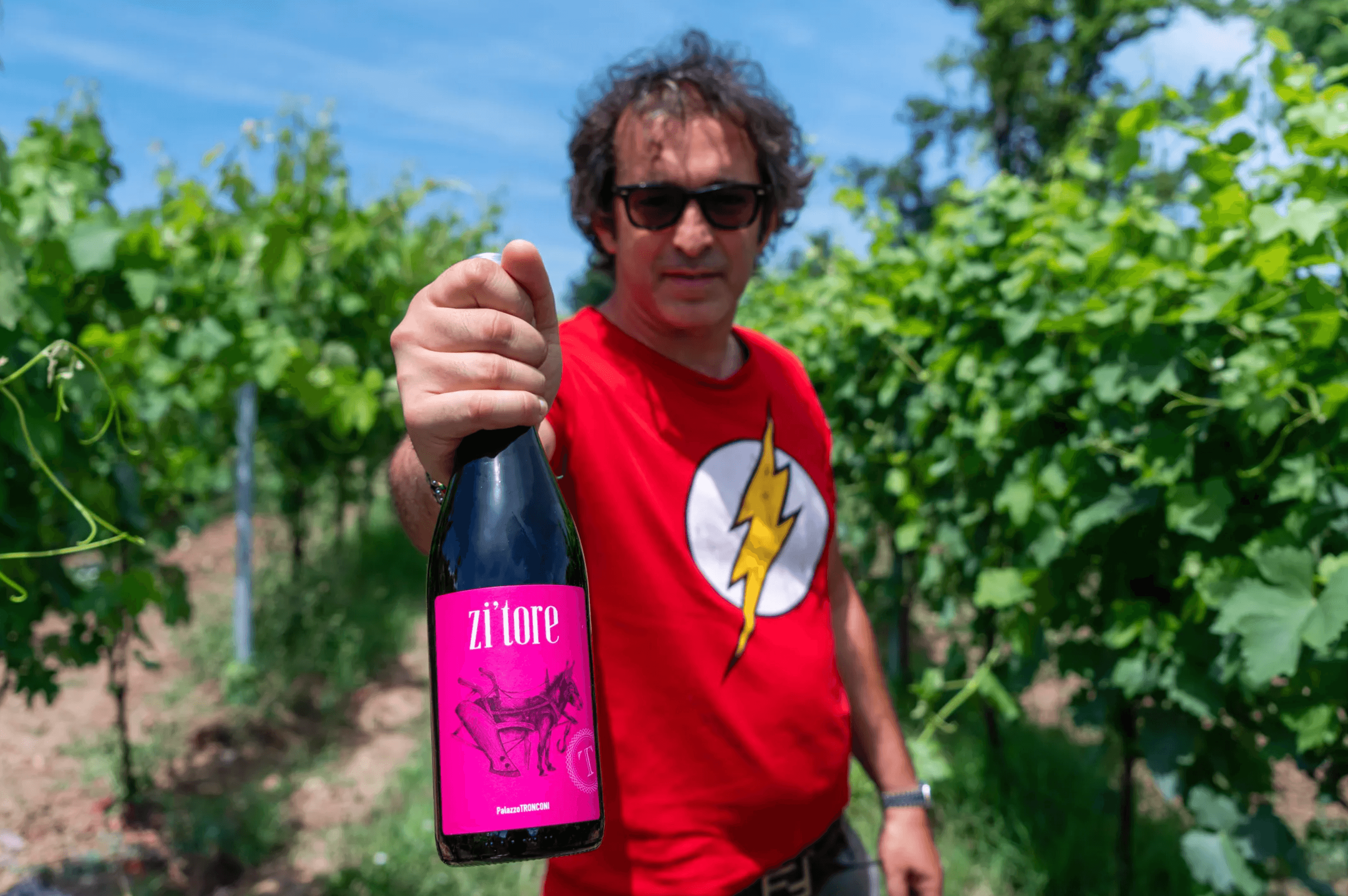 Palazzo Tronconi Winemaker Tasting @ Elmwood November 10th - Vintage Berkeley