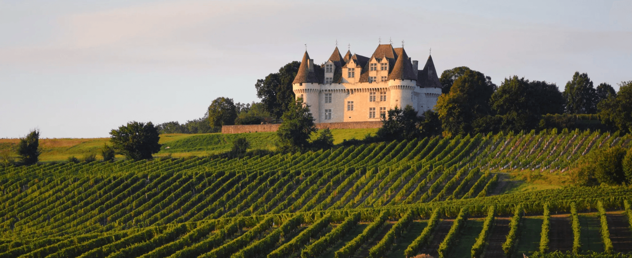 Sauternes, Schmauternes! - Vintage Berkeley