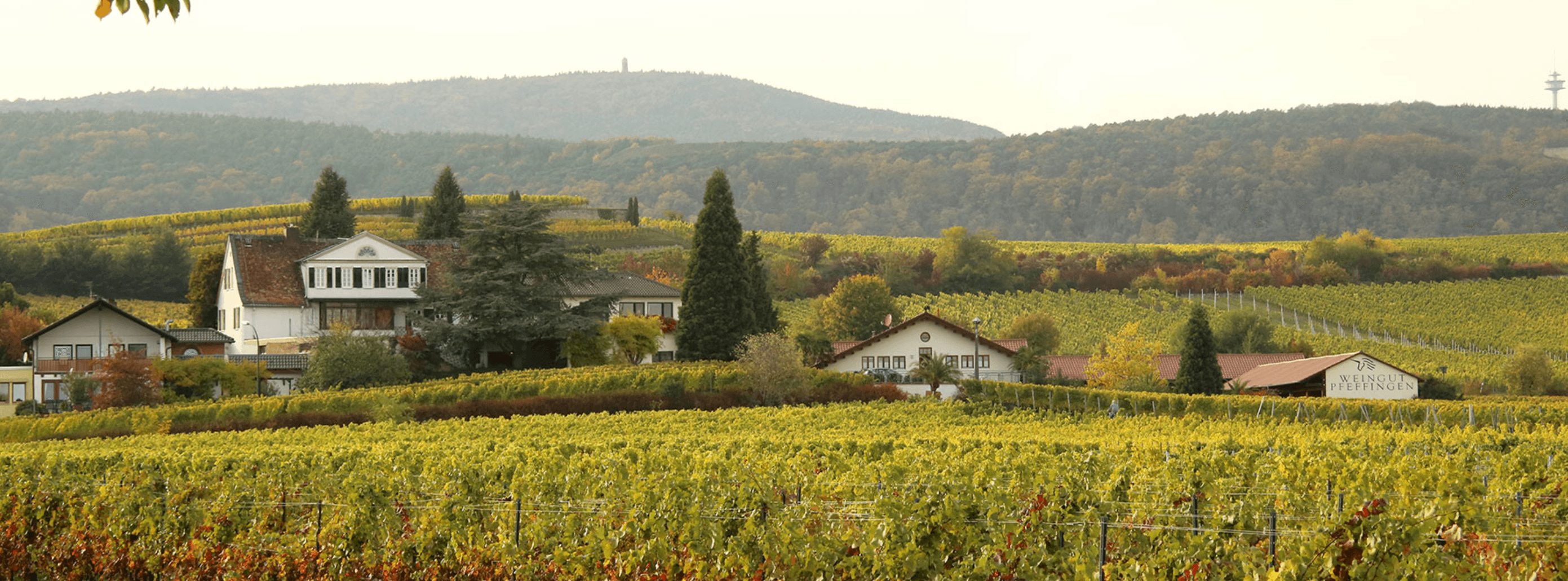 The Unicorn - Vintage Berkeley