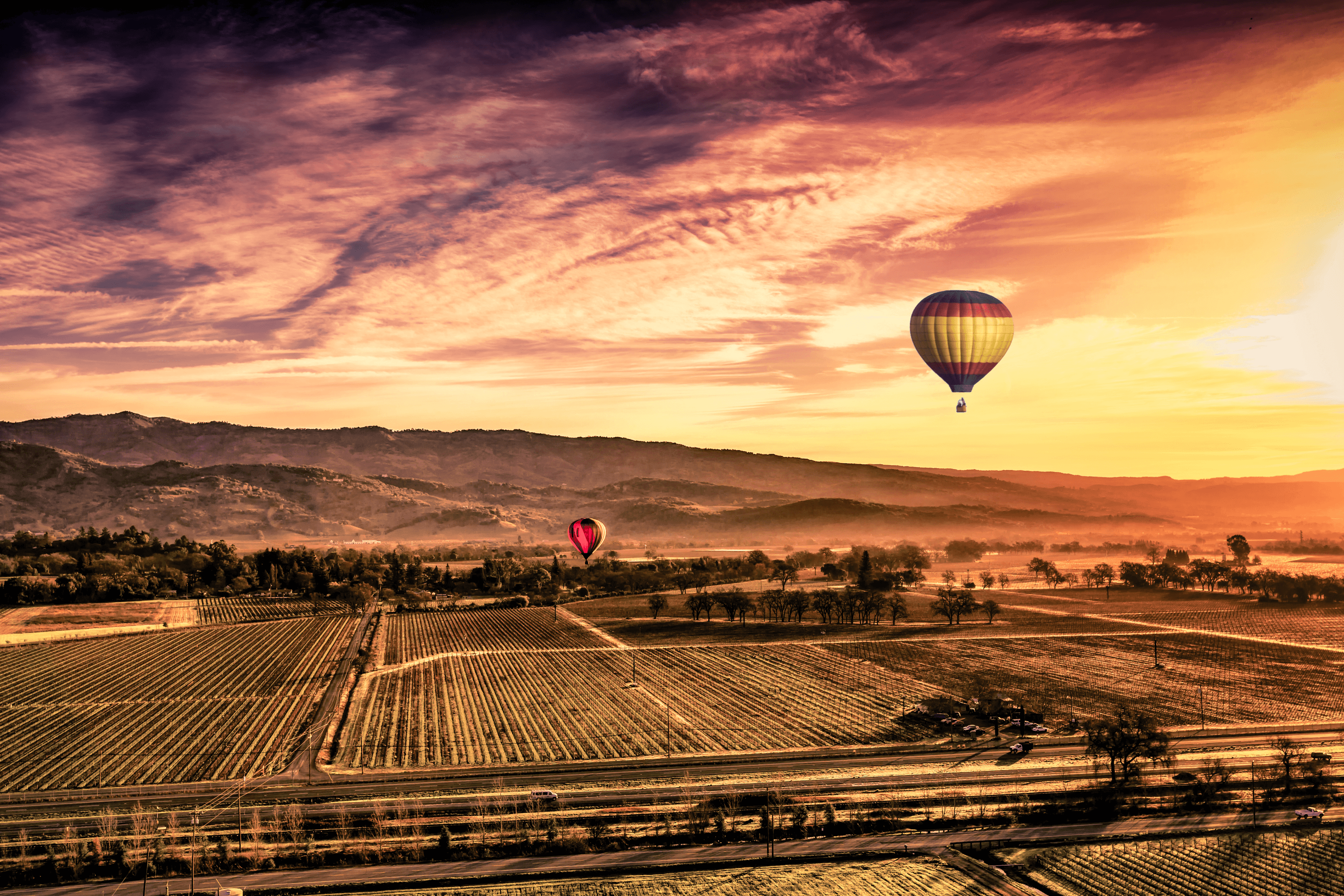 Verms Eye View - Vintage Berkeley