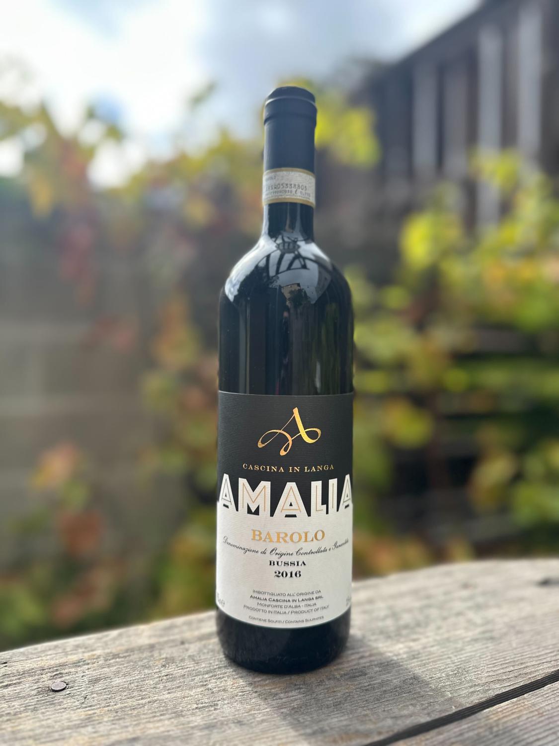 2016 Cascina Amalia Barolo Bussia