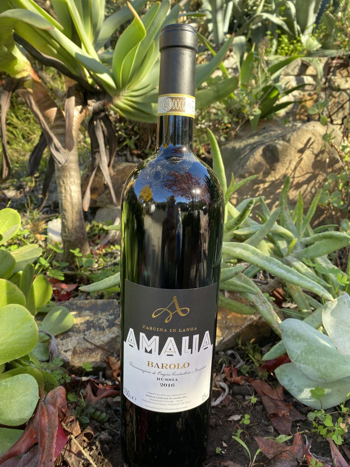 2016 Cascina Amalia Bussia Barolo 1.5L