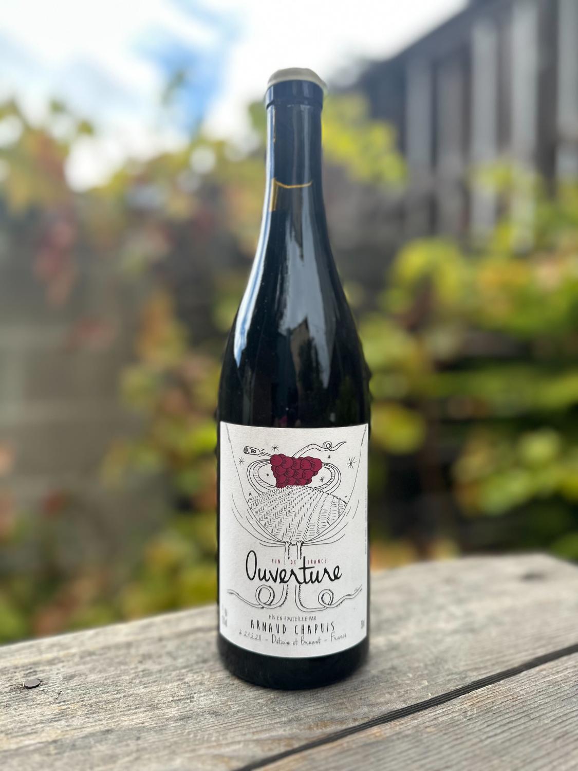2021 Arnaud Chaupis Ouverture Pinot Noir