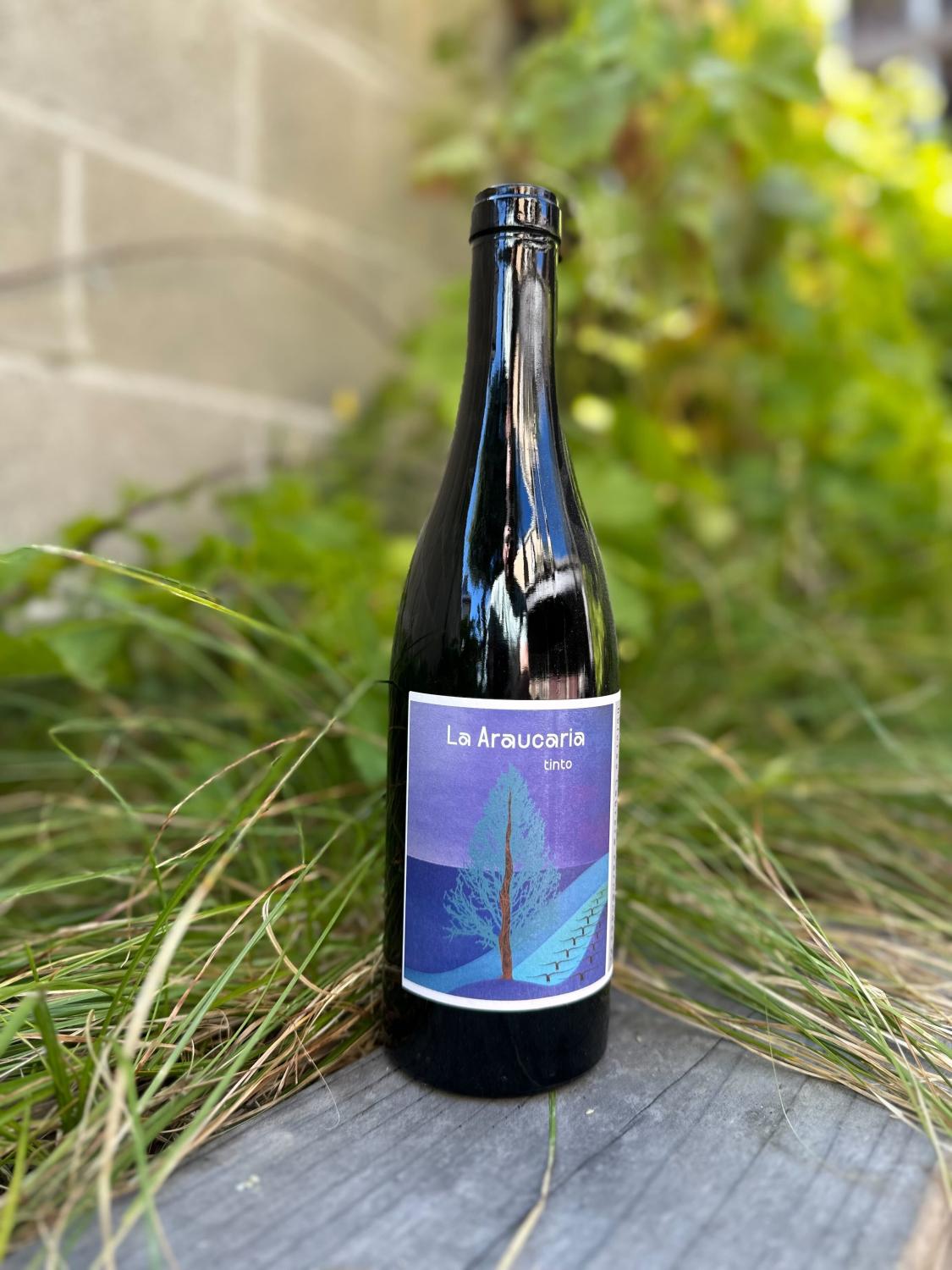 2022 Dolores Cabrera La Araucaria Tinto