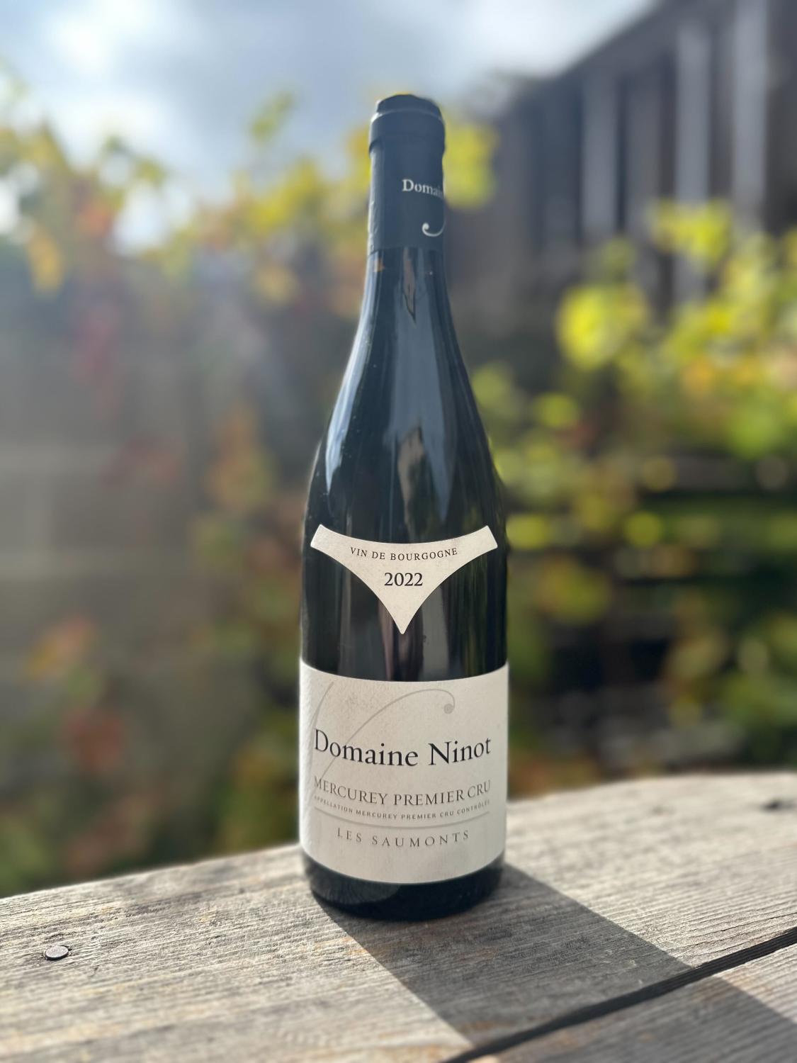 2022 Domaine Ninot Mercurey 1er Cru Les Saumonts