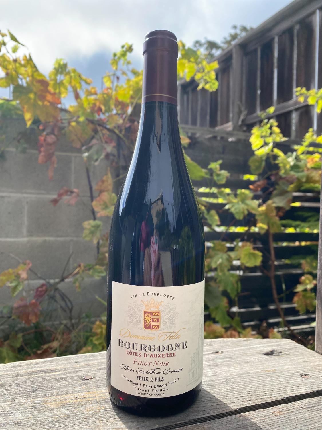 2022 Felix Auxerre Pinot Noir