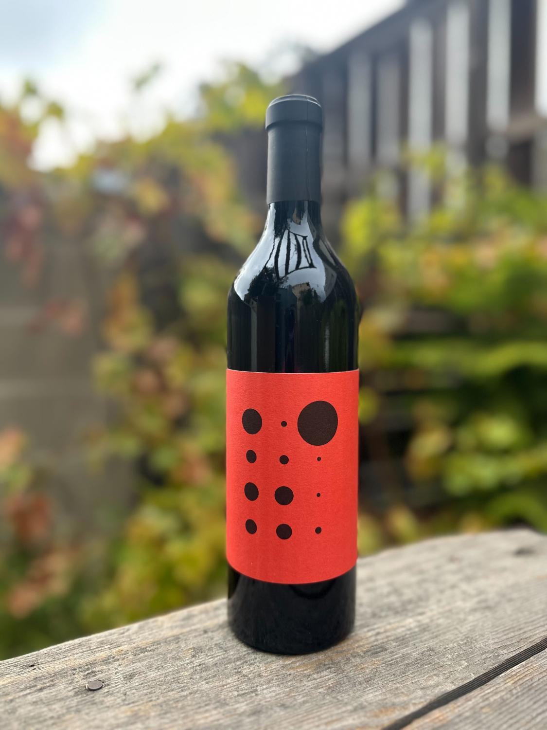 2022 Piquentum Crno Vino Vrh Teran