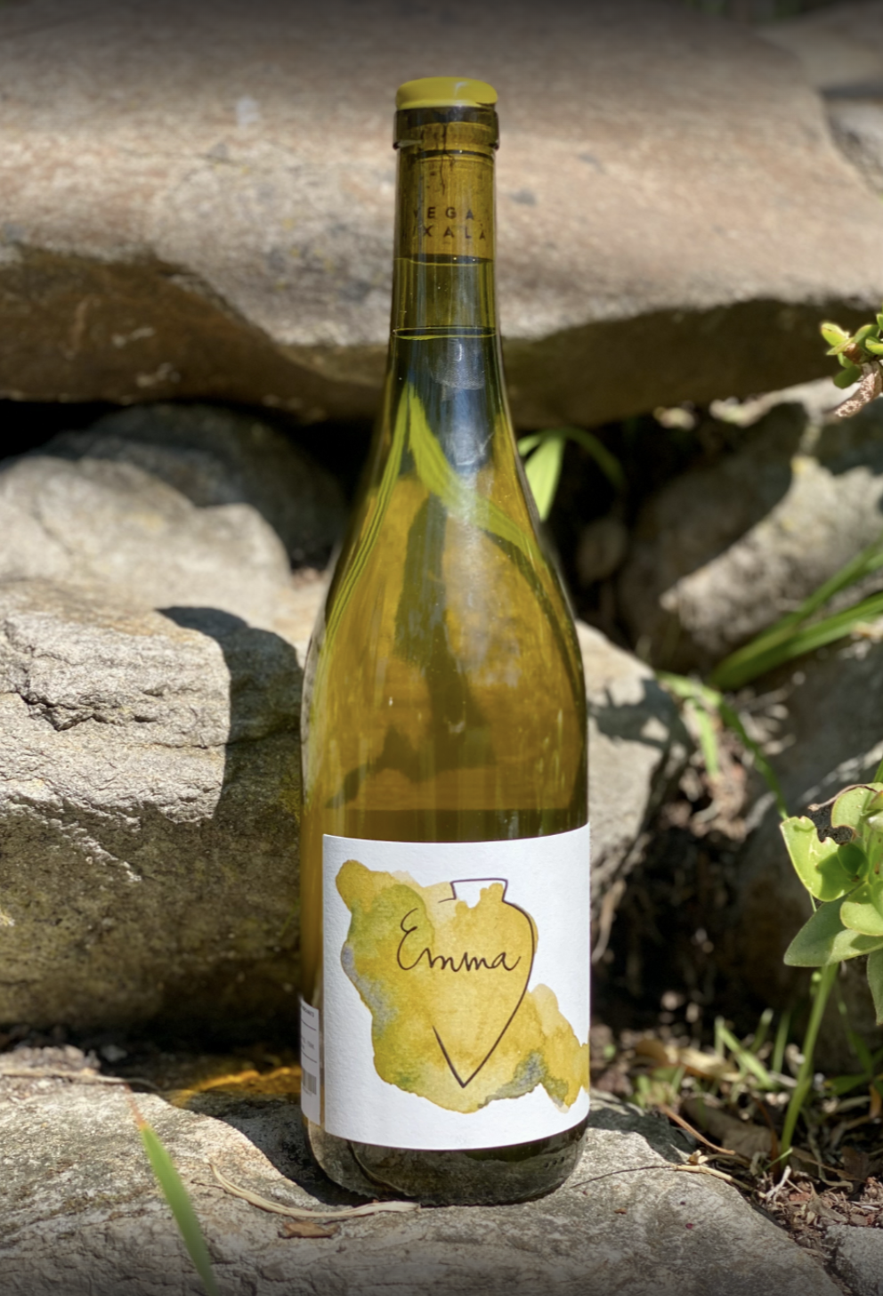 2022 Vega Aixala 'Emma' Albariño