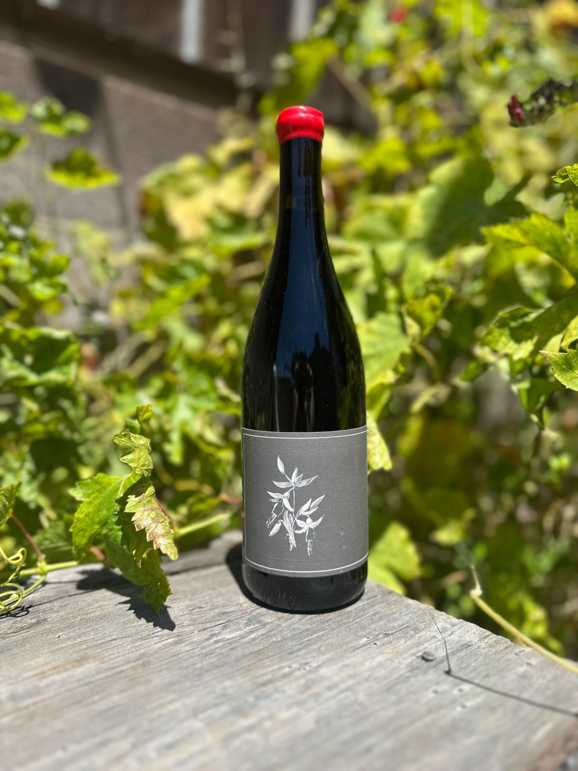 2023 Arnot-Roberts Trousseau