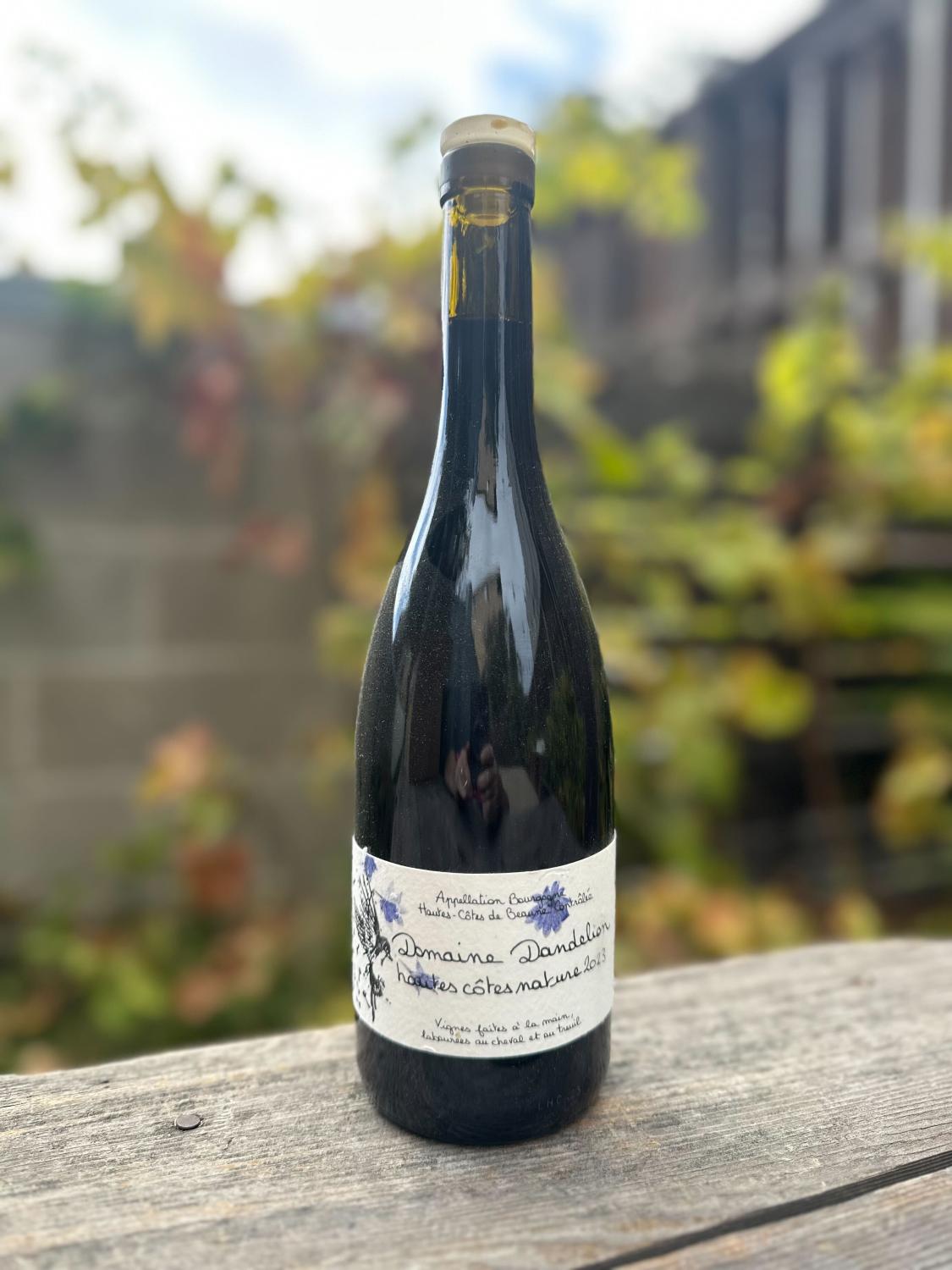 2023 Domaine Dandelion Pinot Noir Hautes Cotes Nature