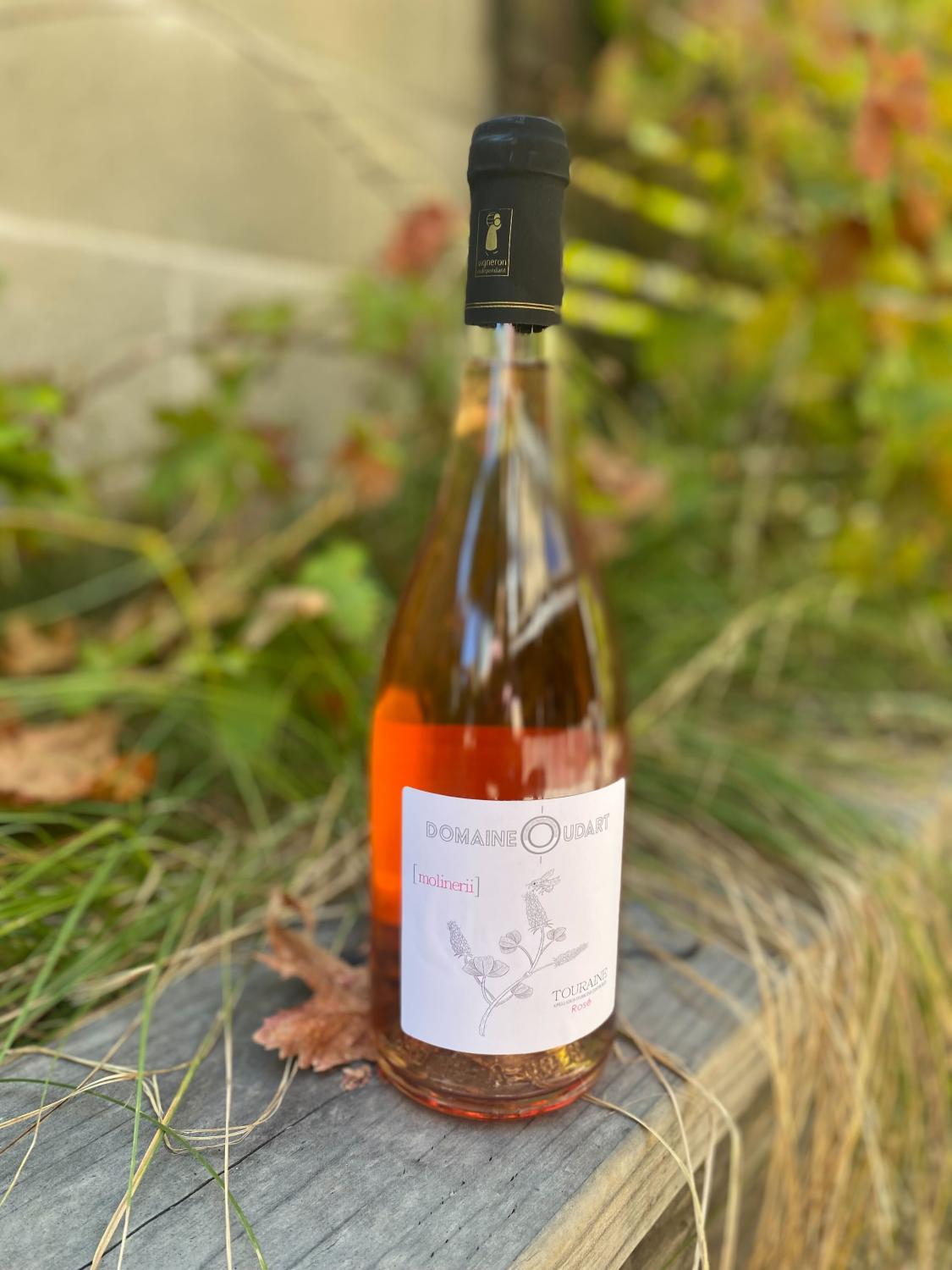 2023 Domaine Oudart Touraine Rose Molinerii Gamay