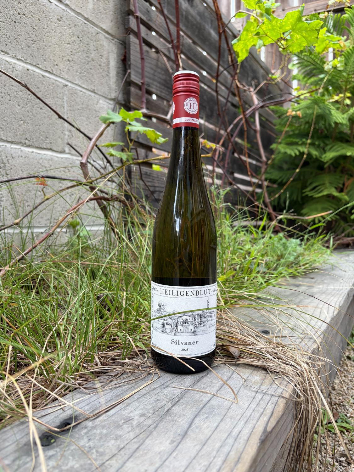 2023 Heiligenblut Silvaner Trocken