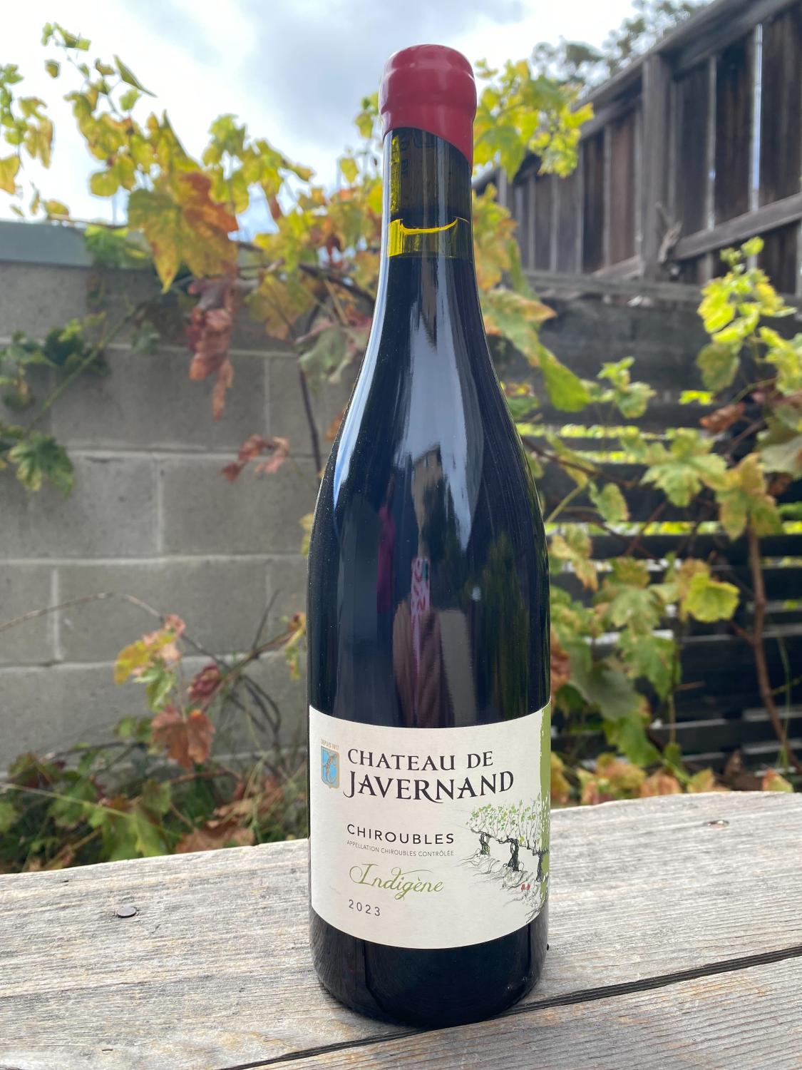 2023 Javernand Gamay 'Indigene' Chiroubles