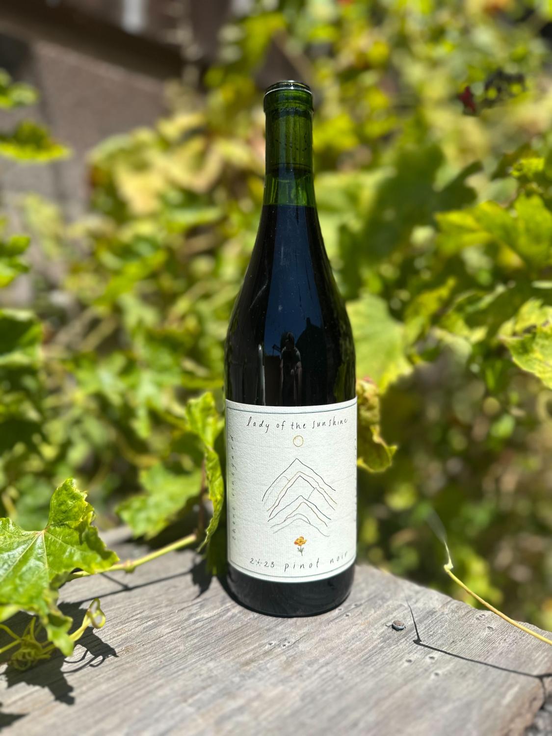 2023 Lady of the Sunshine Pinot Noir Chene Vineyard