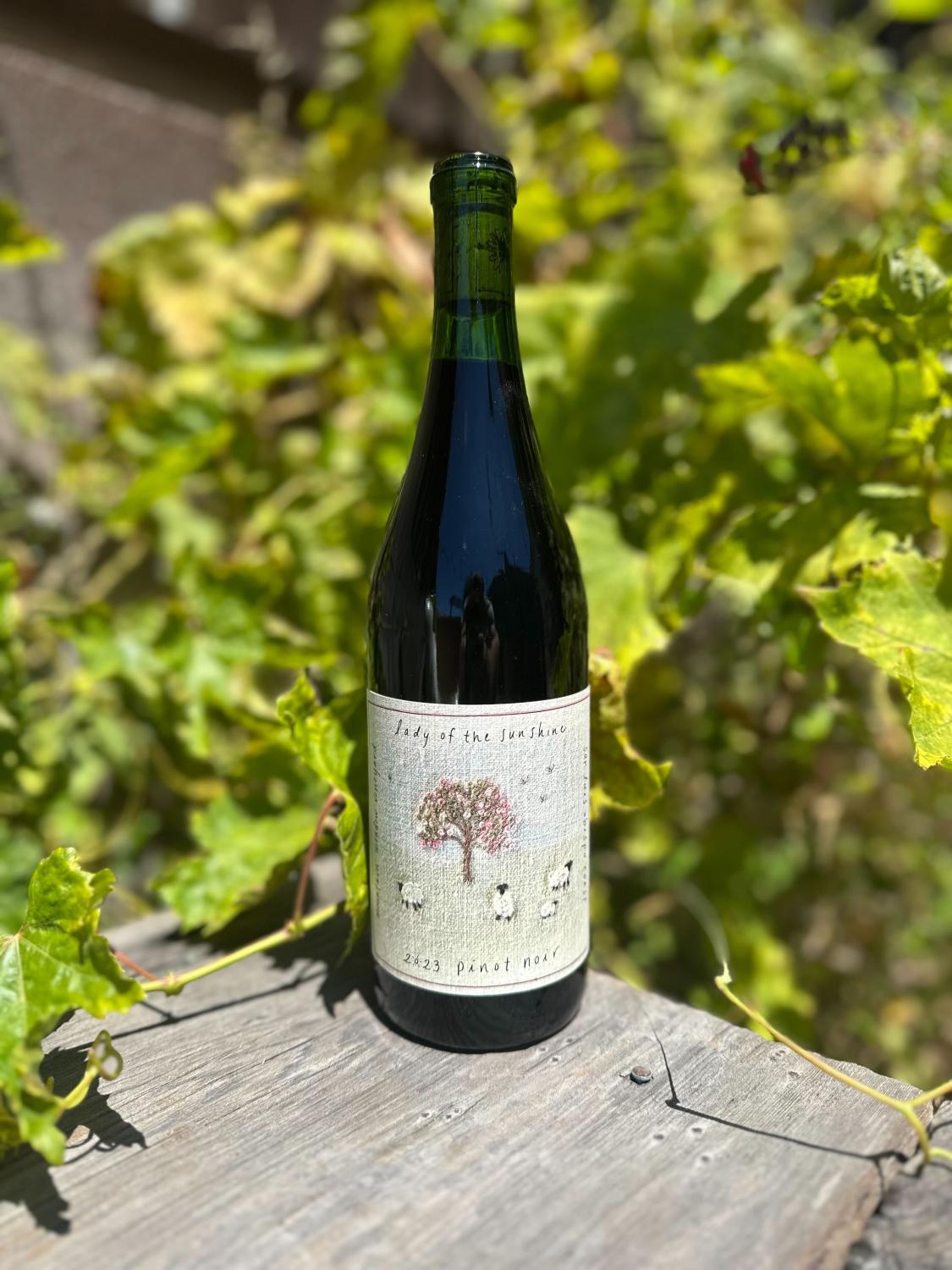 2023 Lady of the Sunshine Pinot Noir Mountain Meadow Vineyard