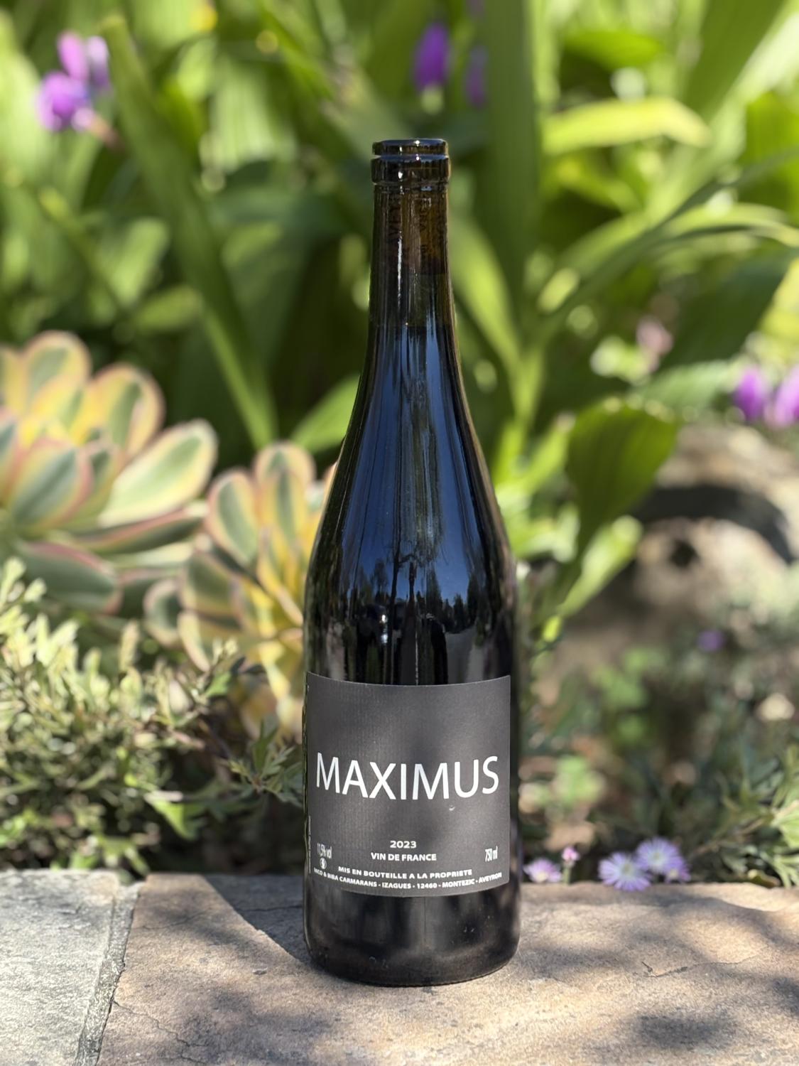 2023 Nicolas Carmarans Maximus Rouge