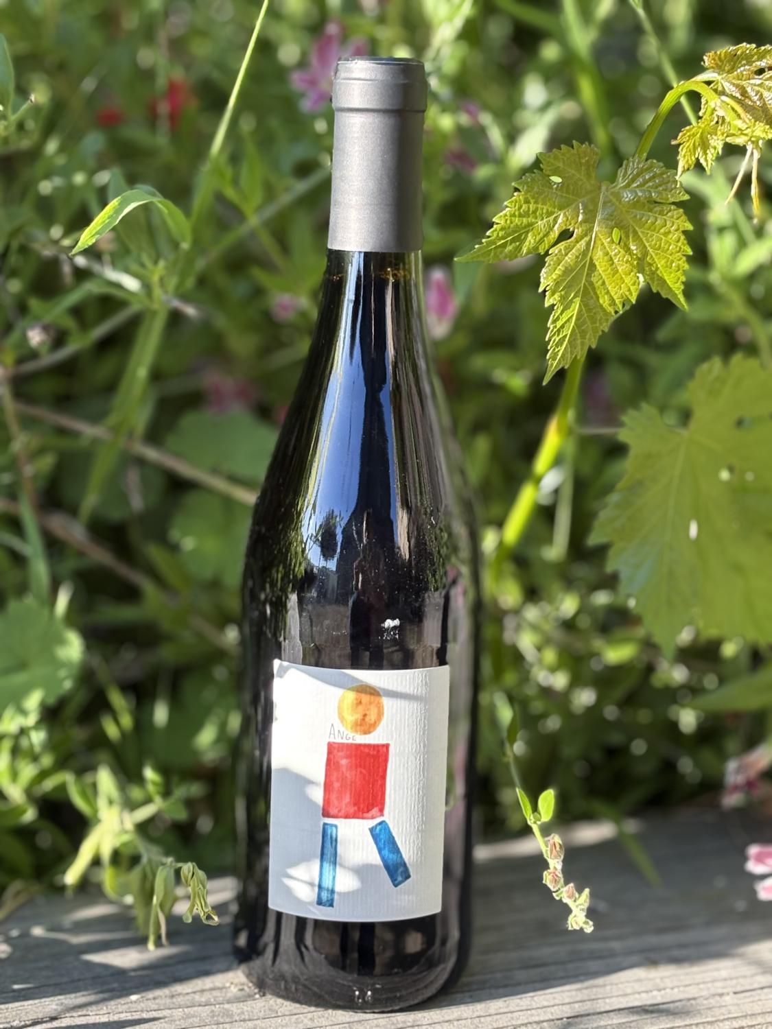 2023 Nicolas Reau 'Ange' Cabernet Franc