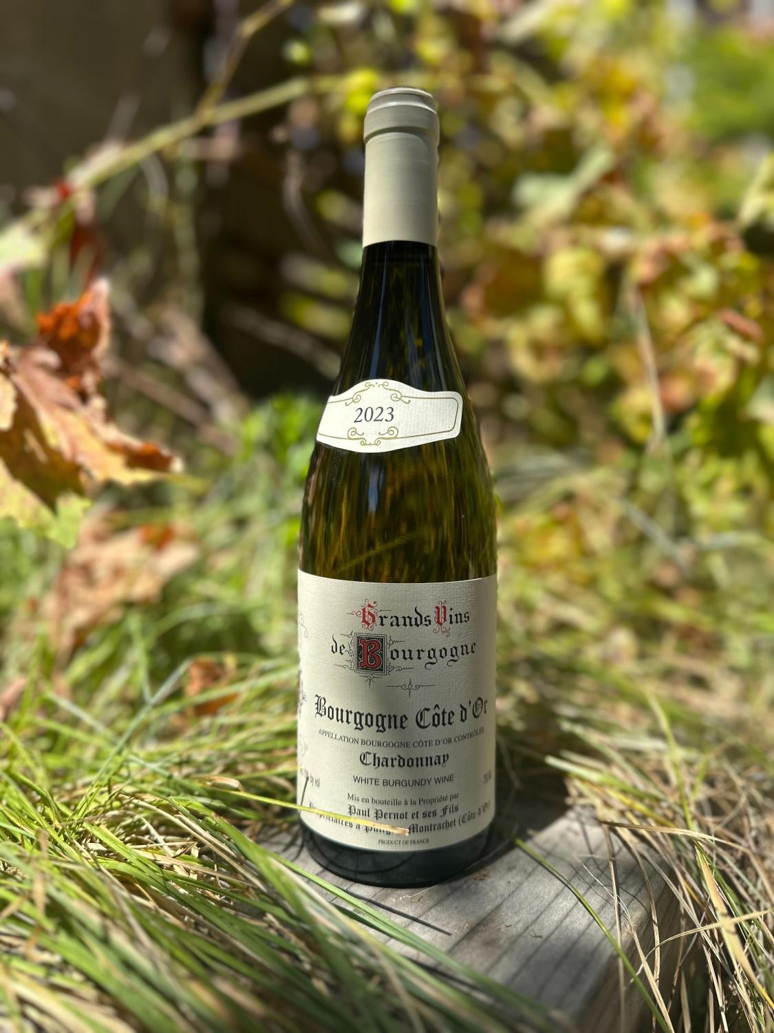 2024 Paul Pernot Cote d'Or Bourgogne Blanc
