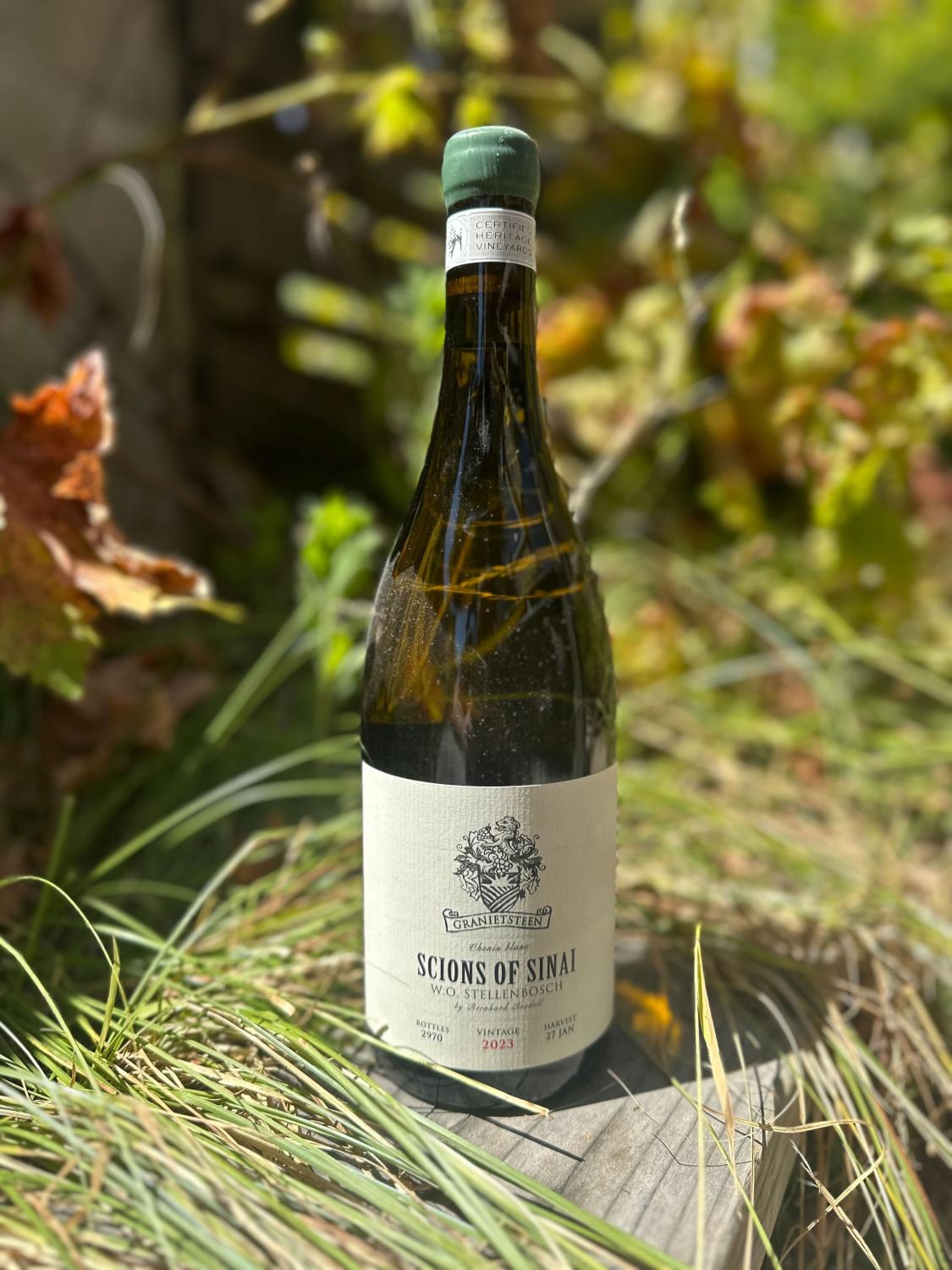 2023 Scions of Sinai Chenin Blanc Granietsteen