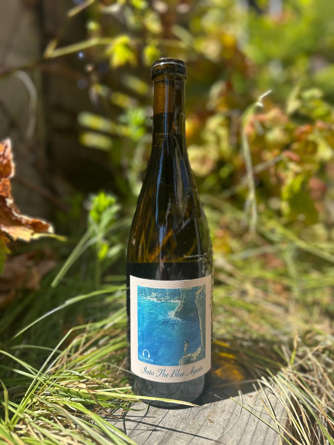 2023 Stereophonic Chardonnay Into the Blue Again