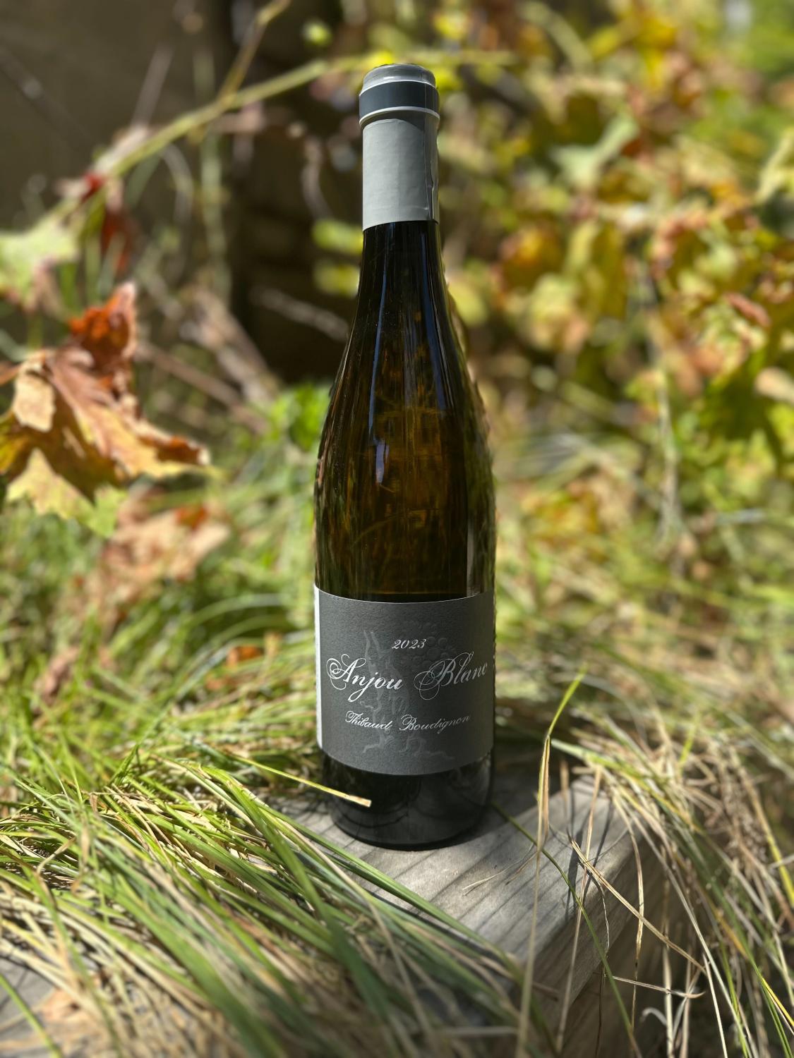2023 Thibaud Boudignon Anjou Blanc