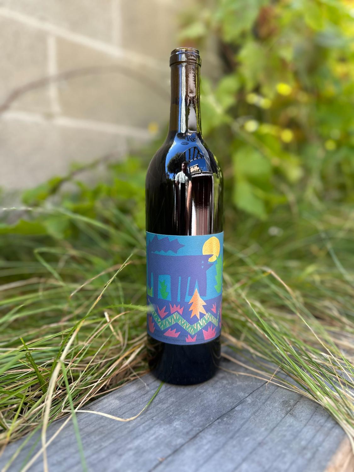 2023 Vinos Pijoan El Carbonico Red Blend