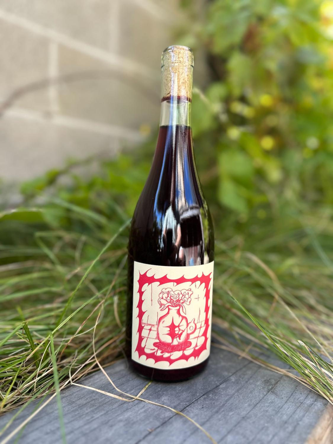 2023 Vinos Pijoan Pobre Diabla Red Blend