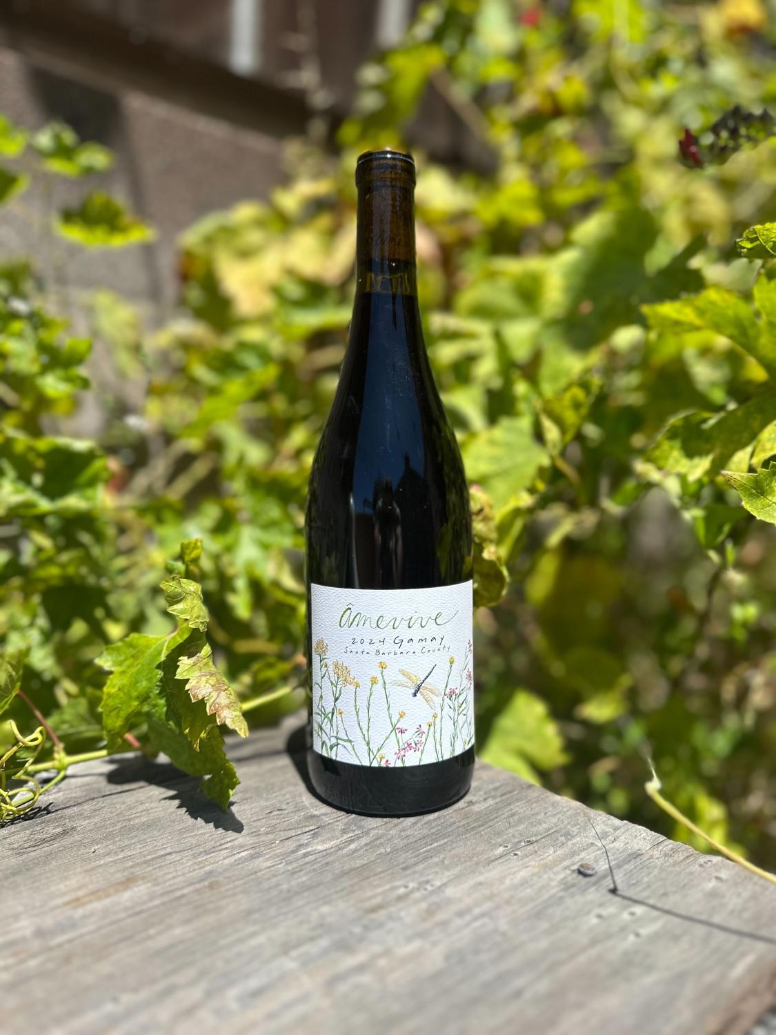 2024 Amevive Gamay