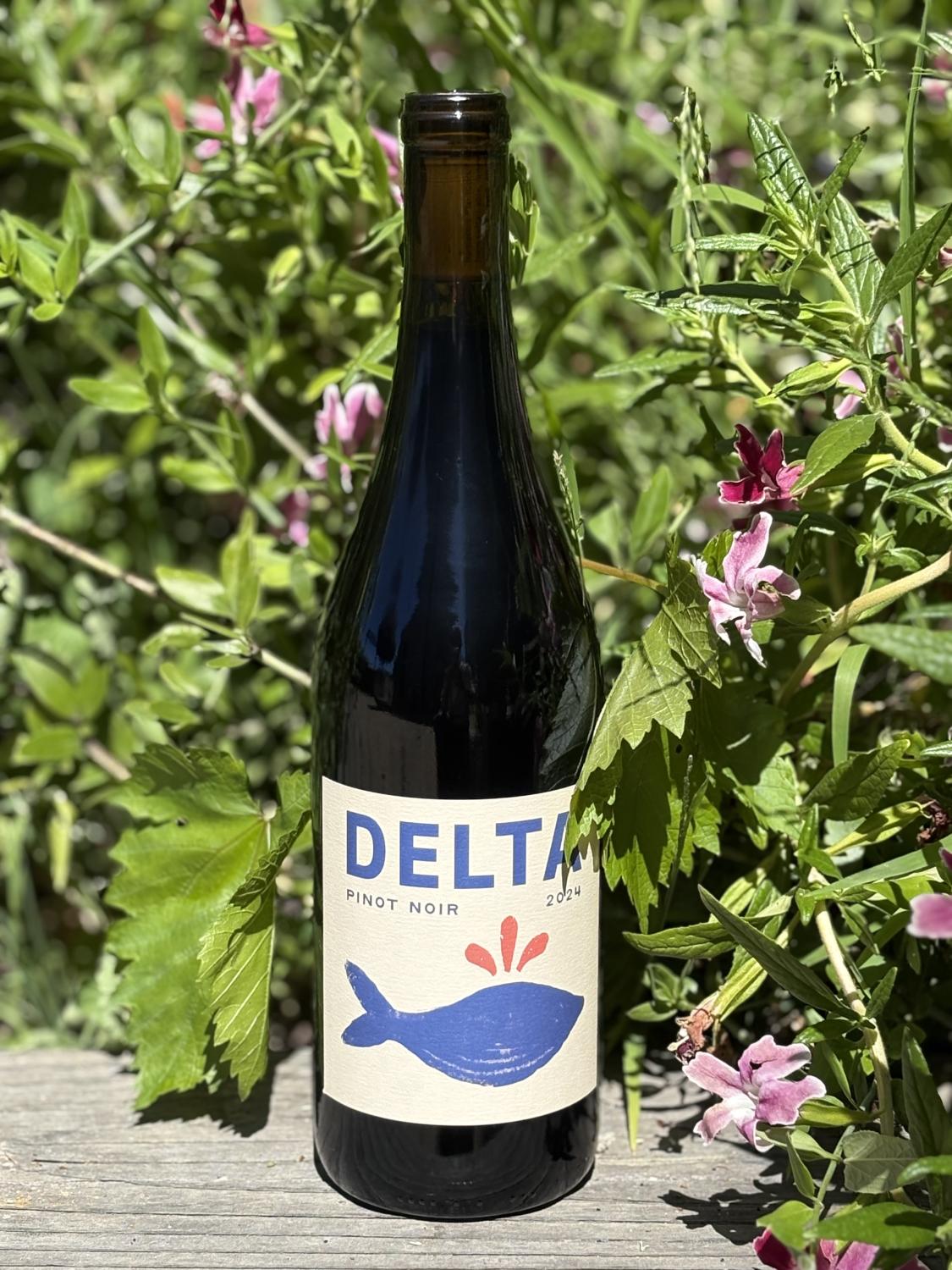 2024 Davis Wines 'Delta' Pinot Noir