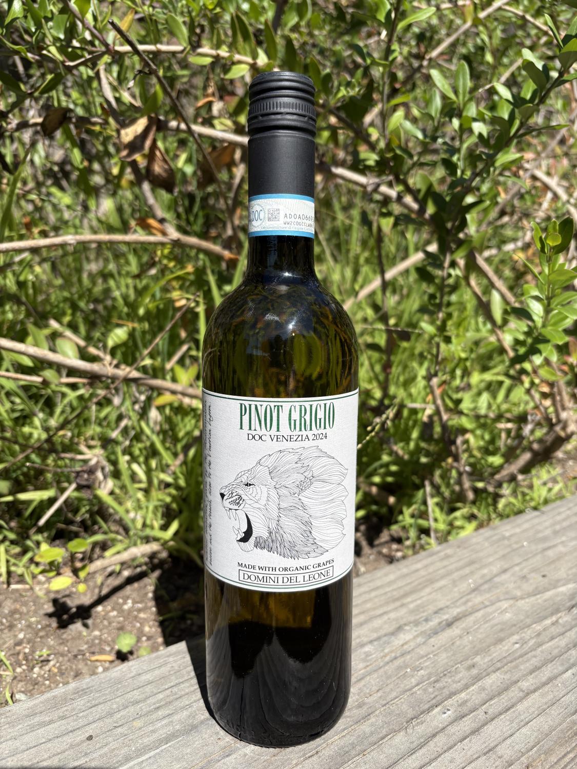 2024 Domini del Leone Pinot Grigio